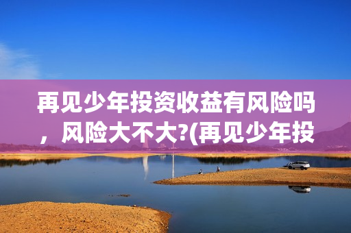 再见少年投资收益有风险吗，风险大不大?(再见少年投资成本)