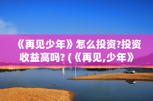 《再见少年》怎么投资?投资收益高吗? (《再见,少年》)