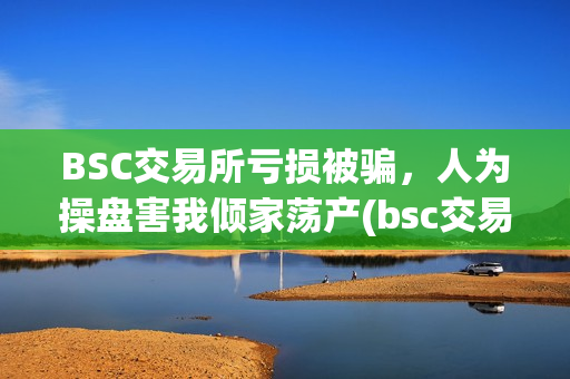 BSC交易所亏损被骗，人为操盘害我倾家荡产(bsc交易平台)