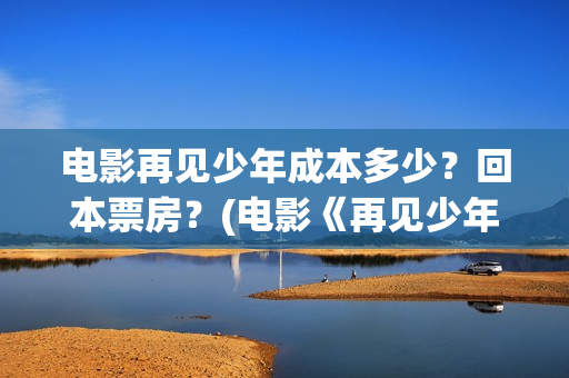 电影再见少年成本多少？回本票房？(电影《再见少年》)