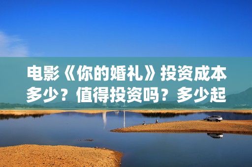 电影《你的婚礼》投资成本多少？值得投资吗？多少起投?(电影你的婚礼演员表)