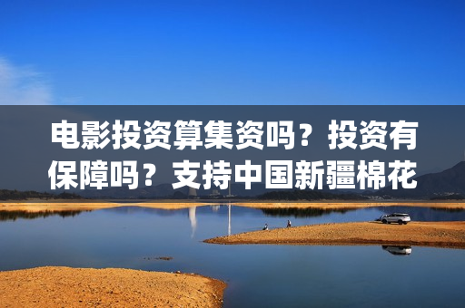 电影投资算集资吗？投资有保障吗？支持中国新疆棉花(电影投资资金安全吗)