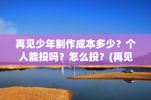 再见少年制作成本多少？个人能投吗？怎么投？(再见少年制作成本)