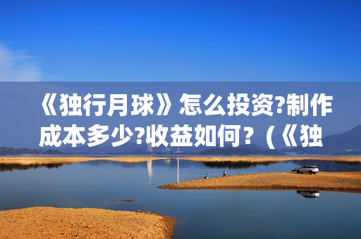 《独行月球》怎么投资?制作成本多少?收益如何？(《独行月球》怎么拍的)
