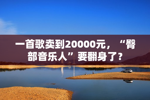 一首歌卖到20000元，“臀部音乐人”要翻身了？
