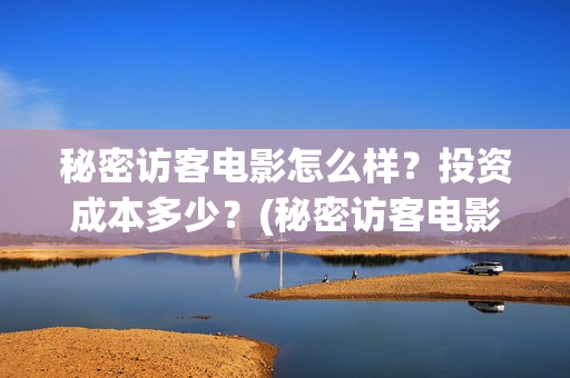 秘密访客电影怎么样？投资成本多少？(秘密访客电影怎么样好看)