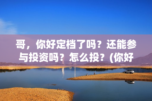 哥，你好定档了吗？还能参与投资吗？怎么投？(你好的哥)