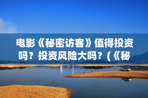 电影《秘密访客》值得投资吗？投资风险大吗？(《秘密访客》上映)