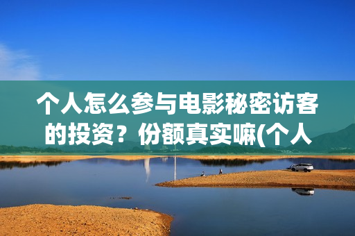 个人怎么参与电影秘密访客的投资？份额真实嘛(个人如何做电商?)