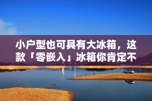 小户型也可具有大冰箱，这款「零嵌入」冰箱你肯定不看一看？