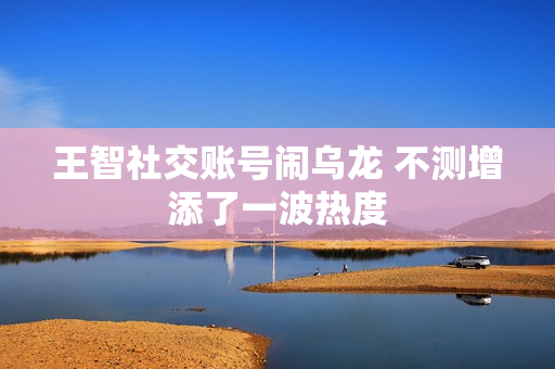 王智社交账号闹乌龙 不测增添了一波热度