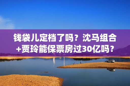 钱袋儿定档了吗？沈马组合+贾玲能保票房过30亿吗？投资门槛多少？(钱袋子app是什么)