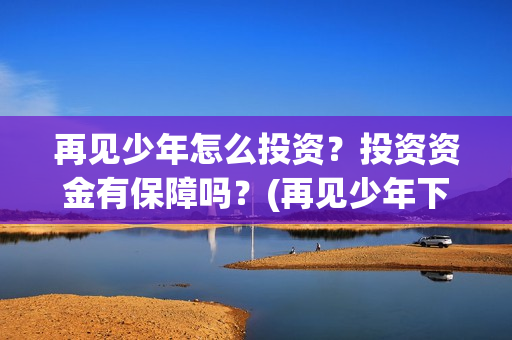 再见少年怎么投资？投资资金有保障吗？(再见少年下架)