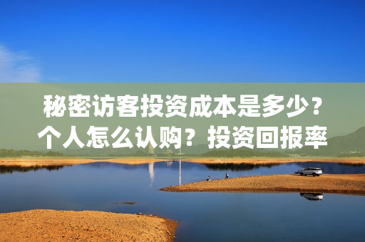 秘密访客投资成本是多少？个人怎么认购？投资回报率高吗？(秘密访客投资成功了吗)