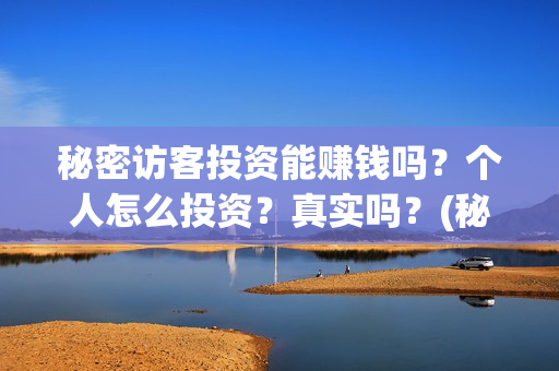 秘密访客投资能赚钱吗?个人怎么投资?真实吗?(秘密访客投资能赚钱吗) 秘密访客投资能赚钱吗?个人怎么投资?真实吗?(秘密访客投资能赚钱吗)