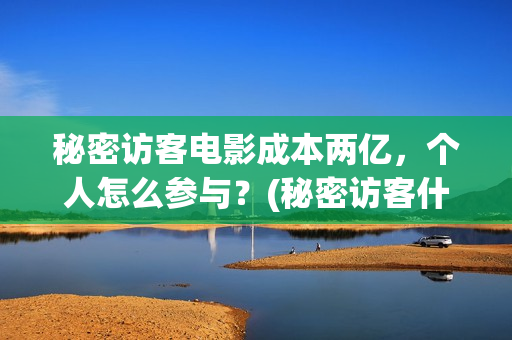 秘密访客电影成本两亿，个人怎么参与？(秘密访客什么电影)
