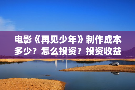电影《再见少年》制作成本多少？怎么投资？投资收益怎么算？(再见少年电影演员)