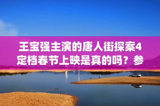 王宝强主演的唐人街探案4定档春节上映是真的吗？参与投资多久分红？(王宝强演唐力果的电影是什么)
