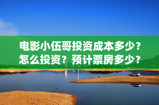 电影小伍哥投资成本多少？怎么投资？预计票房多少？(电影小伍哥投资多少钱)