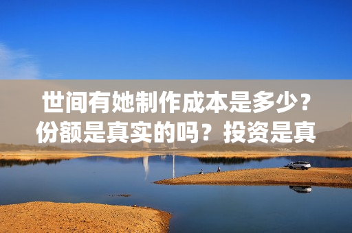 世间有她制作成本是多少？份额是真实的吗？投资是真的假的？(世间有她题材)