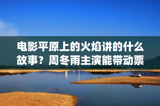 电影平原上的火焰讲的什么故事？周冬雨主演能带动票房吗？能投资吗？(电影平原上的火焰剧情介绍)