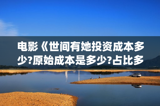 电影《世间有她投资成本多少?原始成本是多少?占比多少?(世间有她电影预告片) 电影《世间有她投资成本多少?原始成本是多少?占比多少?(世间有她电影预告片)