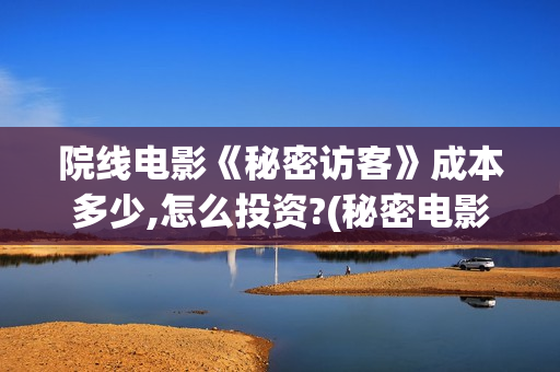 院线电影《秘密访客》成本多少,怎么投资?(秘密电影百度百科)