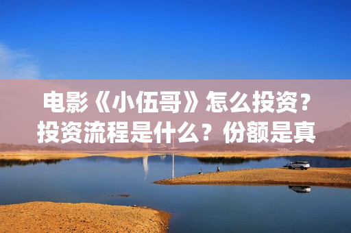 电影《小伍哥》怎么投资?投资流程是什么?份额是真实的吗?(电影小伍哥上映时间) 电影《小伍哥》怎么投资?投资流程是什么?份额是真实的吗?(电影小伍哥上映时间)