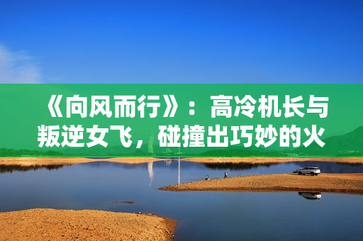 《向风而行》：高冷机长与叛逆女飞，碰撞出巧妙的火花