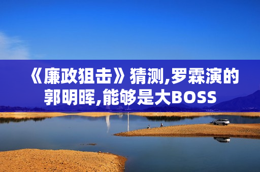 《廉政狙击》猜测,罗霖演的郭明晖,能够是大BOSS