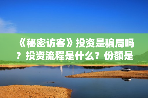 《秘密访客》投资是骗局吗？投资流程是什么？份额是真实的吗？(秘密访客剧)