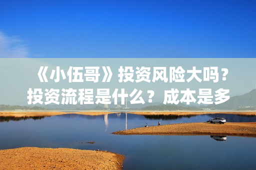 《小伍哥》投资风险大吗？投资流程是什么？成本是多少？(小伍哥能投)