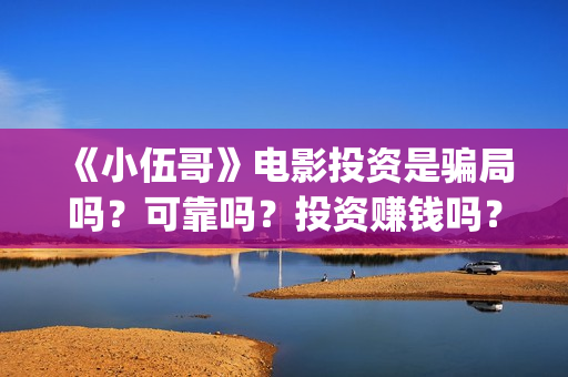 《小伍哥》电影投资是骗局吗？可靠吗？投资赚钱吗？(《小伍哥》电影免费观看)