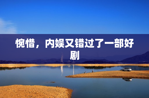 惋惜,内娱又错过了一部好剧 惋惜,内娱又错过了一部好剧