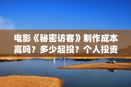 电影《秘密访客》制作成本高吗？多少起投？个人投资份额是否真实？(电影《秘密访客》演员表)