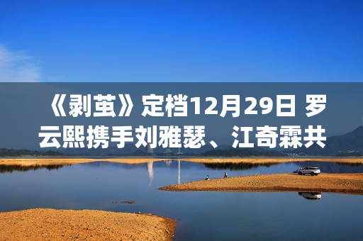 《剥茧》定档12月29日 罗云熙携手刘雅瑟、江奇霖共破六大奇案(剥离之茧是哪个电视剧)