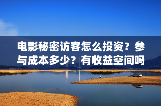 电影秘密访客怎么投资？参与成本多少？有收益空间吗？(电影秘密访客怎么样好看)