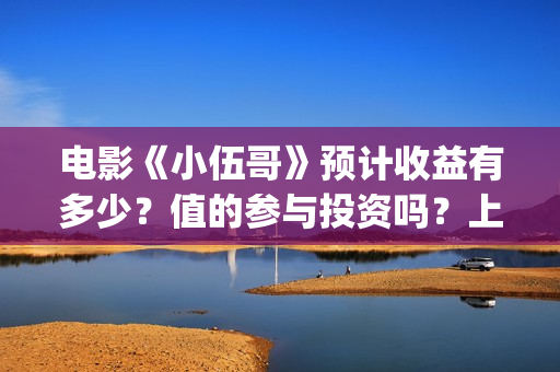 电影《小伍哥》预计收益有多少？值的参与投资吗？上映时间是什么时候/(电影《小伍哥》免费观看)