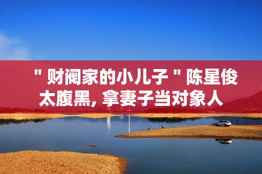 ＂财阀家的小儿子＂陈星俊太腹黑, 拿妻子当对象人