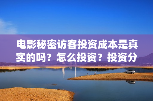 电影秘密访客投资成本是真实的吗？怎么投资？投资分红要多久？(秘密访客电影价钱)
