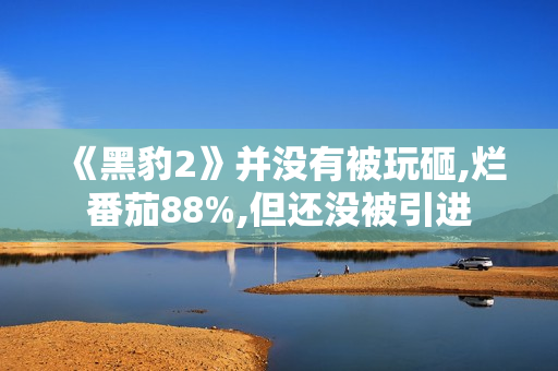 《黑豹2》并没有被玩砸,烂番茄88%,但还没被引进