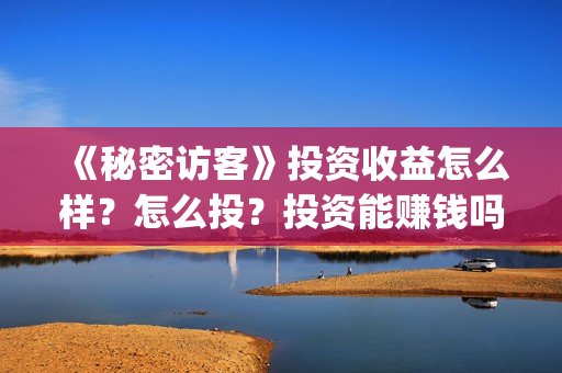 《秘密访客》投资收益怎么样？怎么投？投资能赚钱吗？(《秘密访客》投资多少钱)