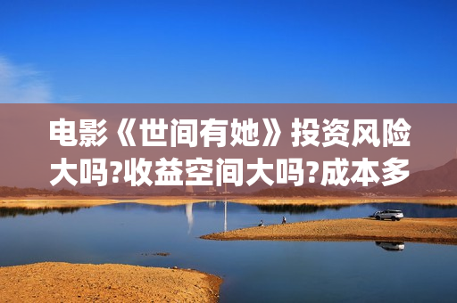 电影《世间有她》投资风险大吗?收益空间大吗?成本多少?(世间有她电影预告片)