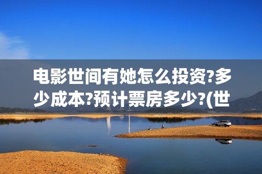 电影世间有她怎么投资?多少成本?预计票房多少?(世间有她电影现在什么情况)