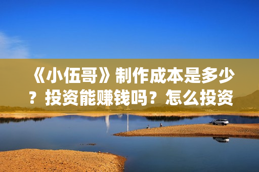 《小伍哥》制作成本是多少？投资能赚钱吗？怎么投资(电影小伍哥是哪家公司制片的)