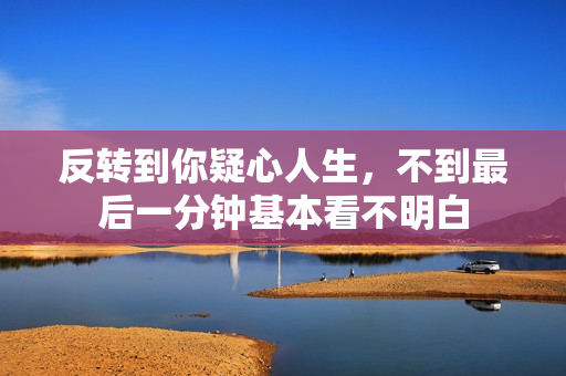 反转到你疑心人生，不到最后一分钟基本看不明白