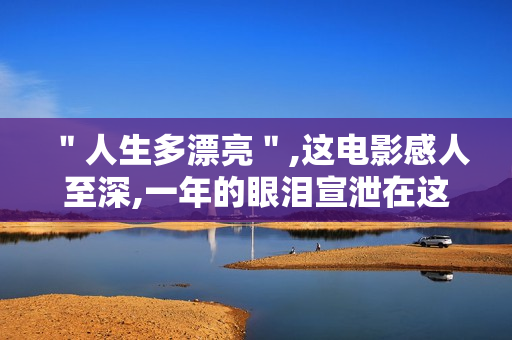 ＂人生多漂亮＂,这电影感人至深,一年的眼泪宣泄在这