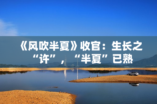 《风吹半夏》收官：生长之“许”，“半夏”已熟