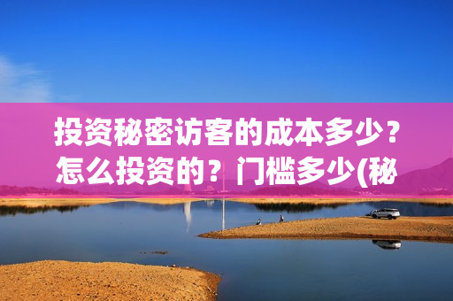 投资秘密访客的成本多少?怎么投资的?门槛多少(秘密访客投资成本) 投资秘密访客的成本多少?怎么投资的?门槛多少(秘密访客投资成本)