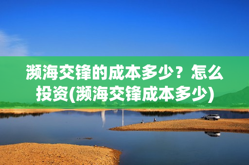 濒海交锋的成本多少？怎么投资(濒海交锋成本多少)
